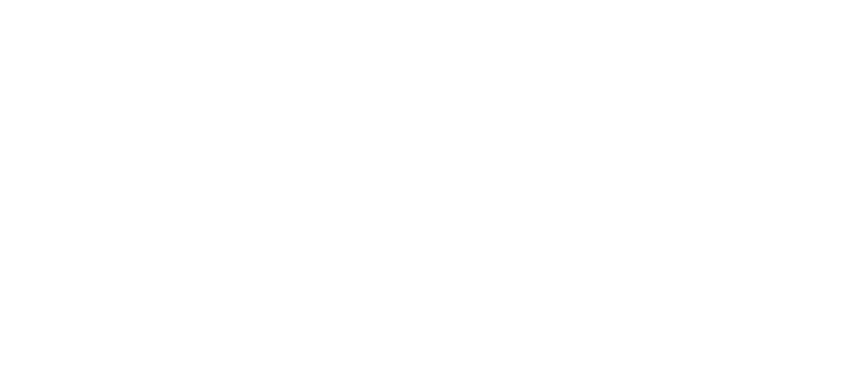 LearnSpeakly Logo